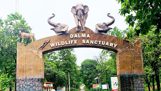 Dalma Wildlife Sanctuary 